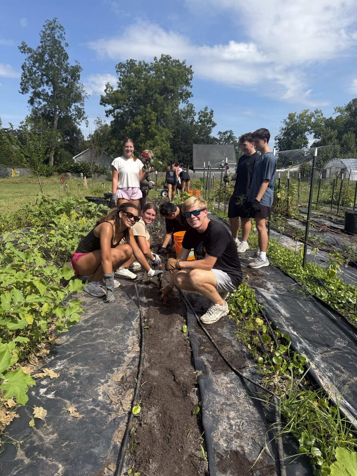 Laney NHS members volunteering at Willowdale Farms