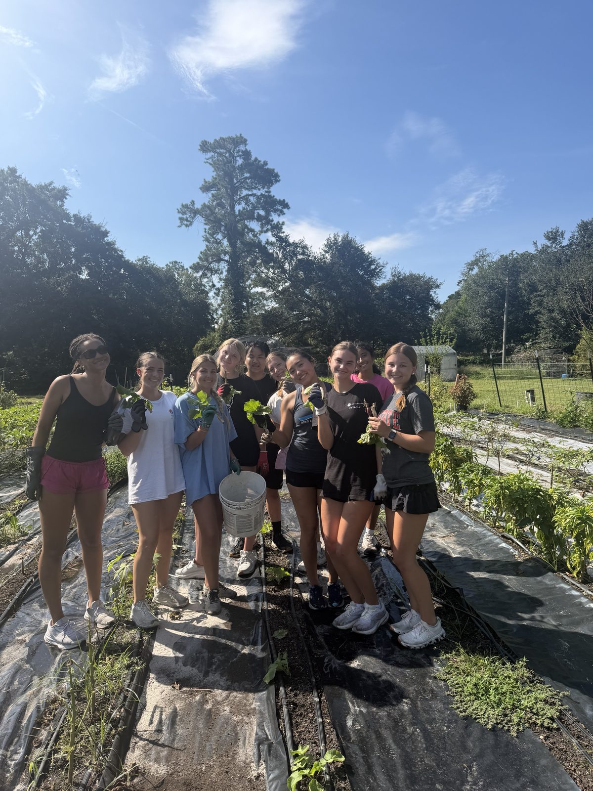 Laney NHS members harvesting at Willowdale Farms